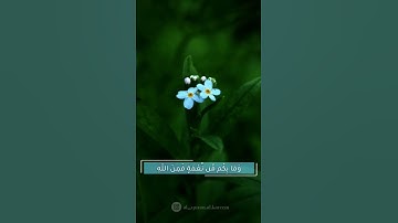 وله ما في السماوات والأرض وله الدين واصبا أفغير الله تتقون - سورة النحل بصوت القارئ عبدالرحمن مسعد