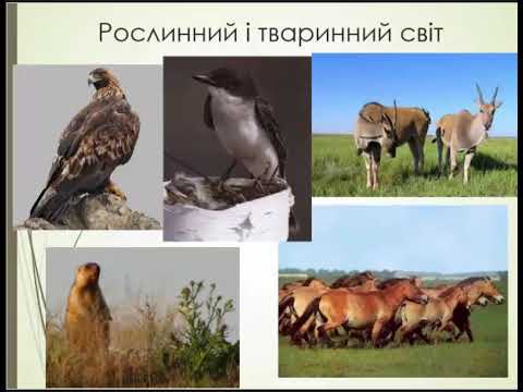 Природні зони світу.Географія. 6 клас