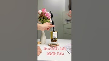 Cách Sử Dụng Bộ Tinh Dầu Khuếch Tán Thơm Phòng Cắm Que Tán Hương HENY GARDEN