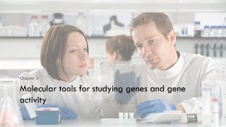 [Biol 367] Lecture 7 - Part 1