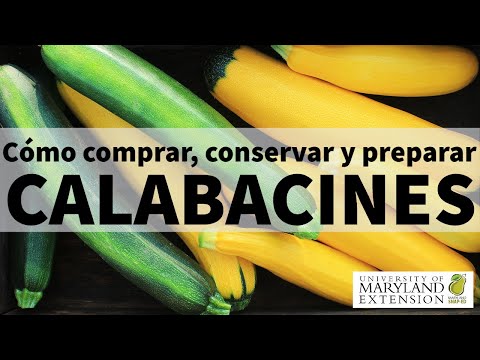 Video: Cómo Conservar El Calabacín Hasta La Primavera