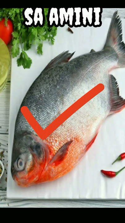 in Islam haram fish❌in Islam halal fish✔️#trending #shorts #viral #india #status #islam #video