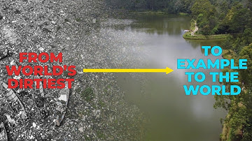 The Amazing Efforts to Clean the World