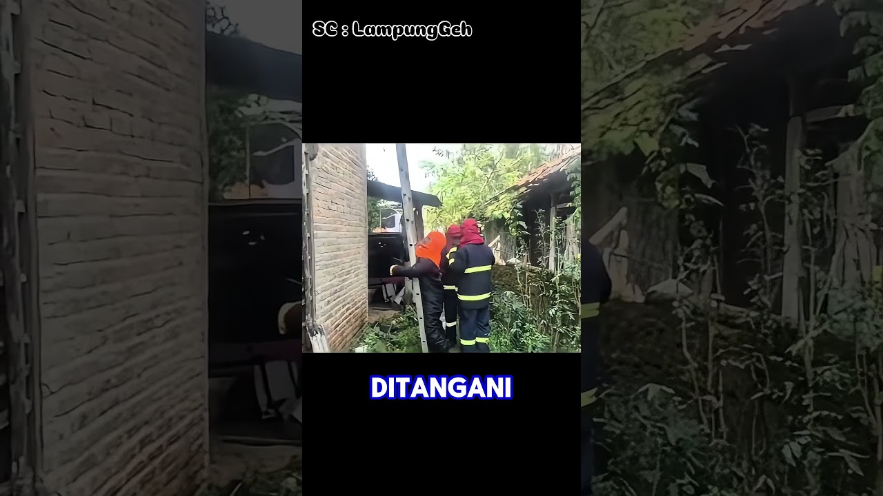 SARANG TAWON MENGHAMBAT ACARA HAJATAN #lucu