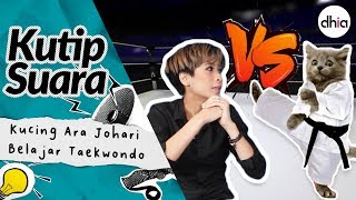 Kutip Suara : Kucing Ara Johari Belajar Taekwondo !