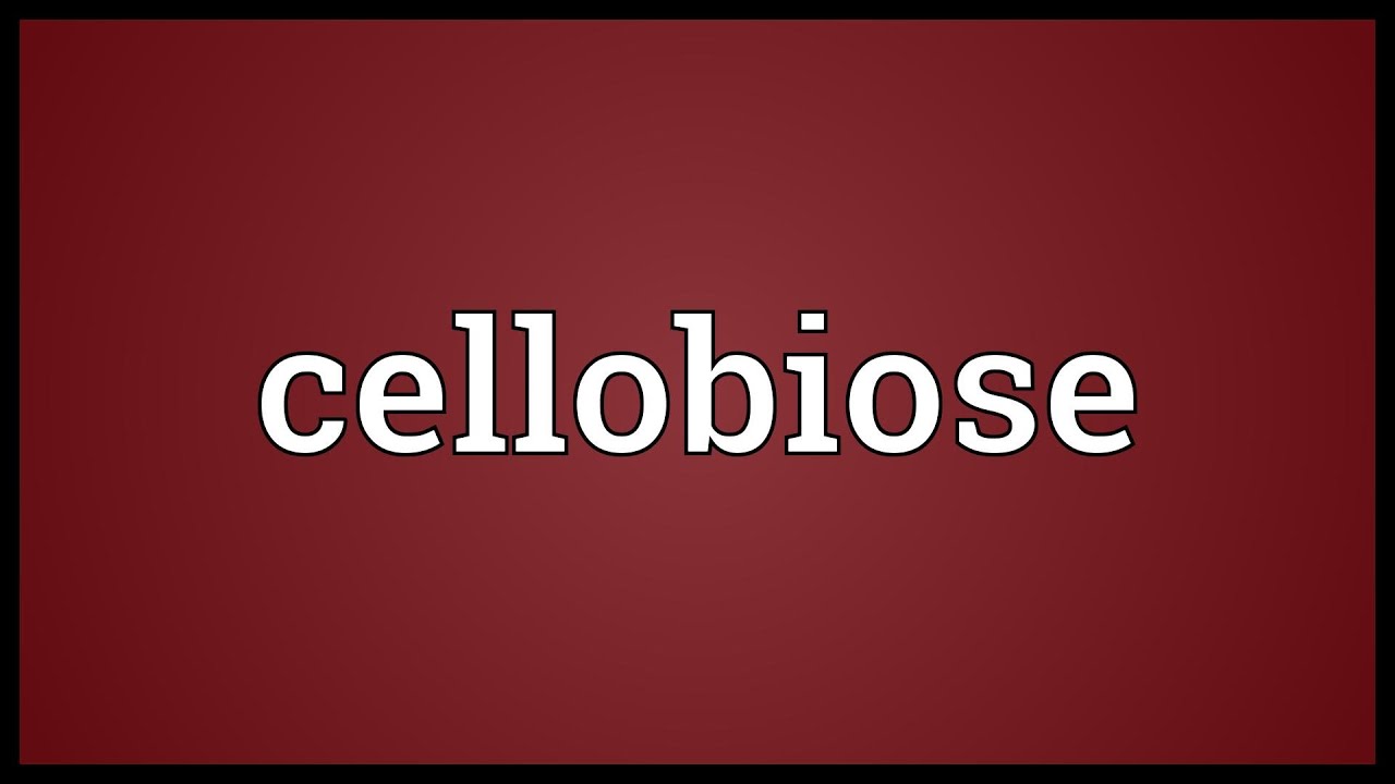 Cellobiose Meaning