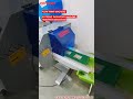 Cookies Biscuit Flow Wrap Machine | High-Speed Packaging Process