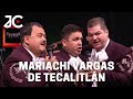 Mariachi Vargas de Tecalitlán - 🎤 El Son de la Negra, El viajero, Enamórame otra vez, Sabes una cosa