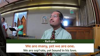 Many and One (LYRICS) by Angrisano, Hart, Liles