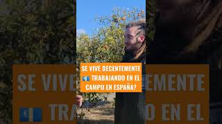 SE VIVE DECENTEMENTE TRABAJANDO EN ESTE TRABAJO?💶 #trabajarenespaña #vivirenespaña #emigraraespaña