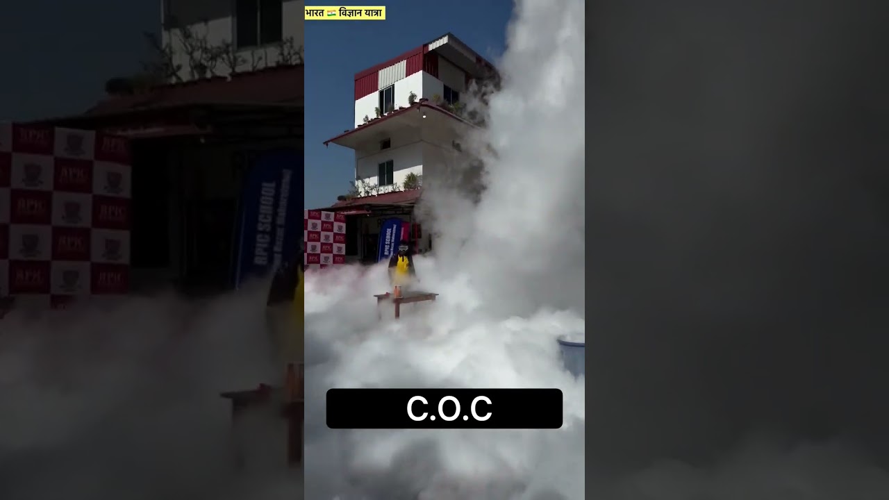 life experiment 🧪 