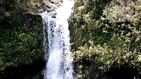 Maui 2009 - Waterfall on Road to Hana