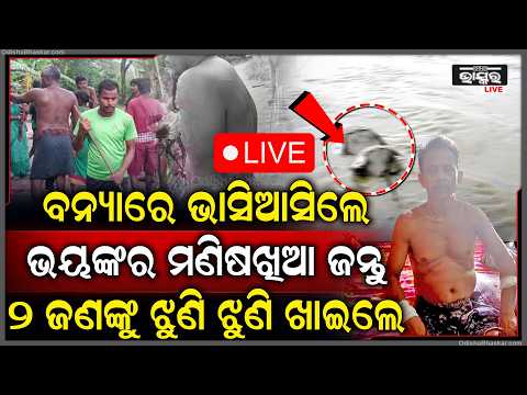 🔴Live : ବନ୍ୟାରେ ଜଙ୍ଗଲରୁ ଭାସି ଆସିଲେ ଭୟଙ୍କର ମଣିଷଖିଆ ଜନ୍ତୁ, ୨ ଜଣଙ୍କୁ ଗୋଡେଇ ଗୋଡେଇ କଲେ ଆକ୍ରମଣ...