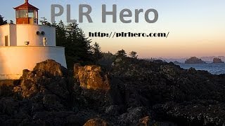 What Is PLR - How To Start A Successful PLR Business