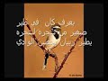 اغنية بعرف كان في طير صغير اغاني عبري 