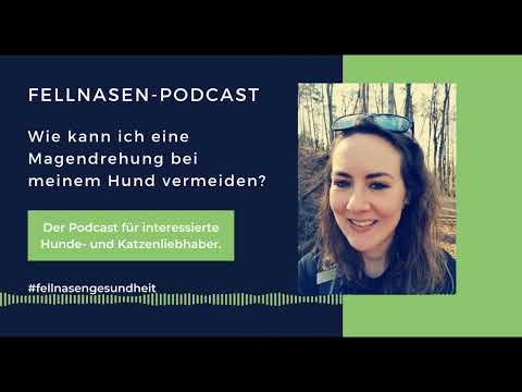 Video: Was ist Bloat bei Hunden und wie können Sie es verhindern?