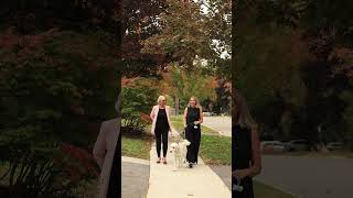 37 Maple Ave W | New Tecumseth