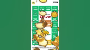 Bluefocus 250904 video 1080 1920 1 Pulasr wc pid 09 17