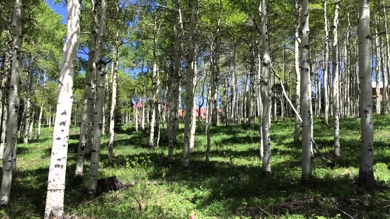 Timber Lakes Estates in Utah. Recreational Home Owner's/Building Guide