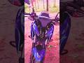 Pulsar bike😱 #shorts #viral