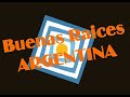 BUENAS RAICES ARGENTINA