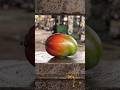 Hydraulic Press vs mango : 100-Ton Compression Test this video from Ai generator Not real #crush