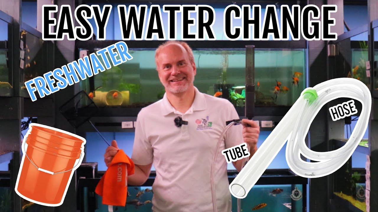 Easy Freshwater Aquarium Water Change Tutorial - YouTube