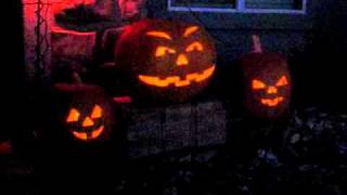 Full Singing pumpkins pt II News