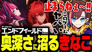 豪運で欲しかったキャラも手に入れゲームの奥深さにしっかり沼るきなこ【アークナイツ:エンドフィールド】