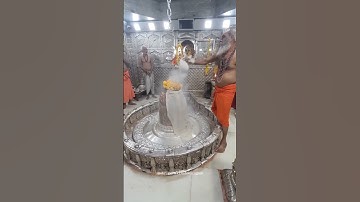 Ujjain Mahakal bhasma aarti status #shiv Mahakal Abhishek ujjain #bholenath #shiva #bholebaba #bhole