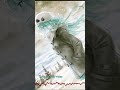 [Nightcore] For The Last Time (В последний раз) Version 2 #short #shorts #youtubeshorts