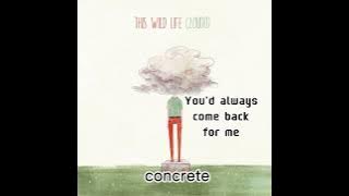 this wild life - concrete (lyrics video)