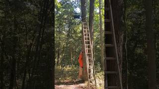 Upgrading Tree Stands w/BIG GAME! #shorts #short #shortvideo