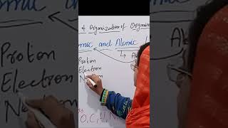 What's Hiding at the ATOM Level?