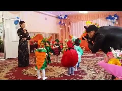 Video: Ost bogʻ uchun sabzavotlar