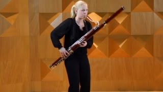 De Instrumenten Uit Het Orkest: Fagot - Orkest Van Het Oosten Resimi