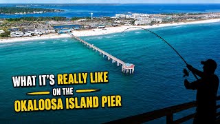 What It s REALLY Like on the Okaloosa Island Pier Fishing Sharks Emerald Water Fort Walton Beach