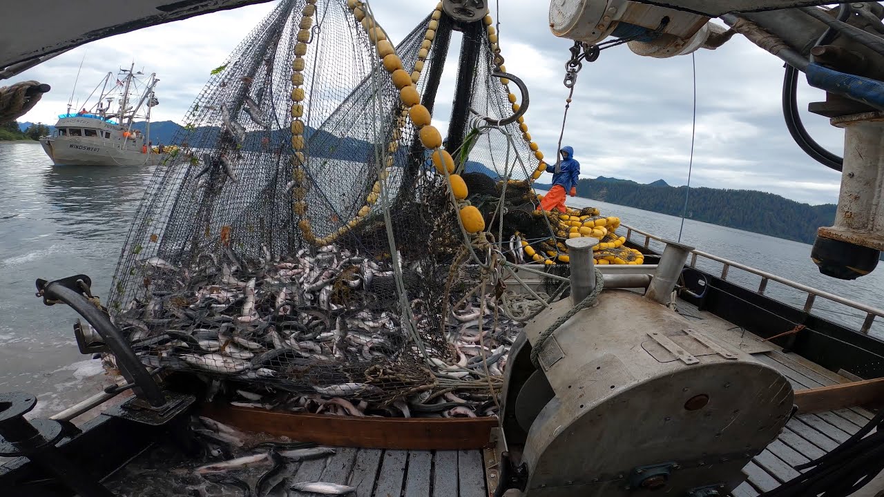 Salmon Fishing in Alaska - Big 20k lb Set !