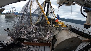 Salmon Fishing in Alaska - Big 20k lb Set ! by Brandon Dell 372,535 views 3 months ago 42 minutes