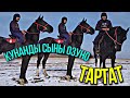 БУЛ КУНАНДА Сатылып Кетти КОНЬЗАВОДДО Белгилуу АТТЫН БАЛАСЫ Өңү Хадиске ДАЛ Келет ЧЫРАЙЛУУ Кунан