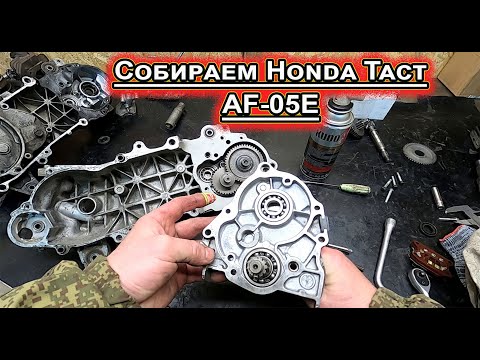 Видео: Собираем Honda Tact  AF-05E