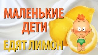 Маленькие дети едят лимон