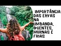 A Importância das Ervas Na Umbanda!( Ervas quentes, Mornas e Frias)