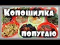 КОПОШИЛКА ДЛЯ ПОПУГАЯ. Делаем РАЗНООБРАЗНУЮ КОПОШИЛКУ для попугая.