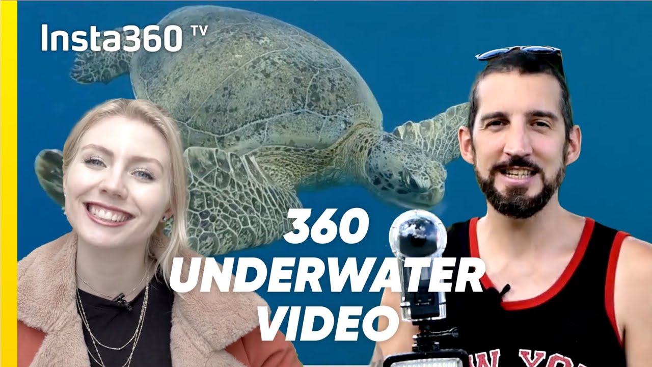 Top Underwater Photography Tips for Insta360 ONE X
