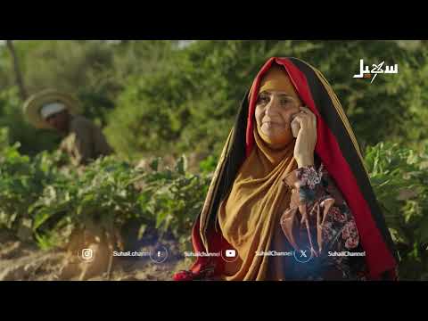 هل هو في مهمة جديدة؟ #الزوبعة