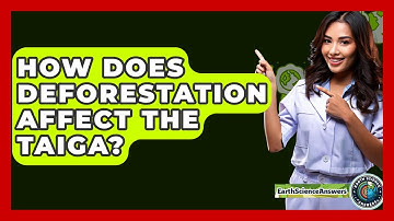 How Does Deforestation Affect The Taiga? - Earth Science Answers