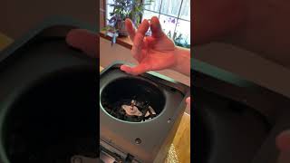ActivePure Air & Surface Pro - Maintenance Video