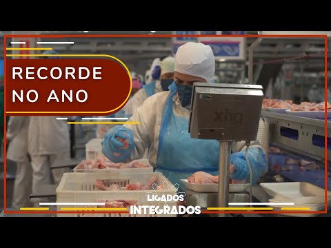 Frango se destaca nas exportações do agronegócio em março de 2023 | Ligados&Integrados - 17/04/2023