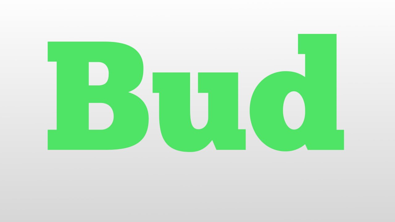 Bud Meaning And Pronunciation YouTube bud-meaning-and-pronunciation-youtube